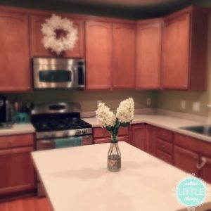 kitchen hydrangeas
