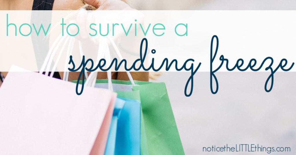 shopping bags for a spending freeze