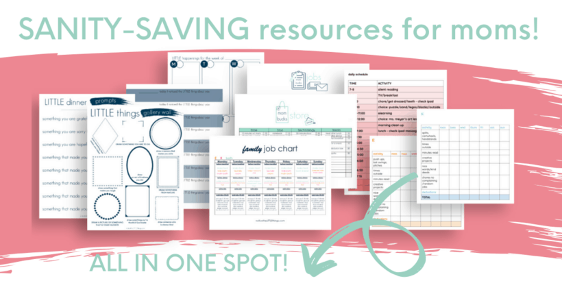 notice the LITTLE things • sanity savers freebie page